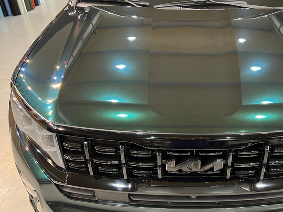 COLORFUSION® PPF - Shadow Green