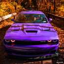 VVIVID+ Poison Purple Gloss-2