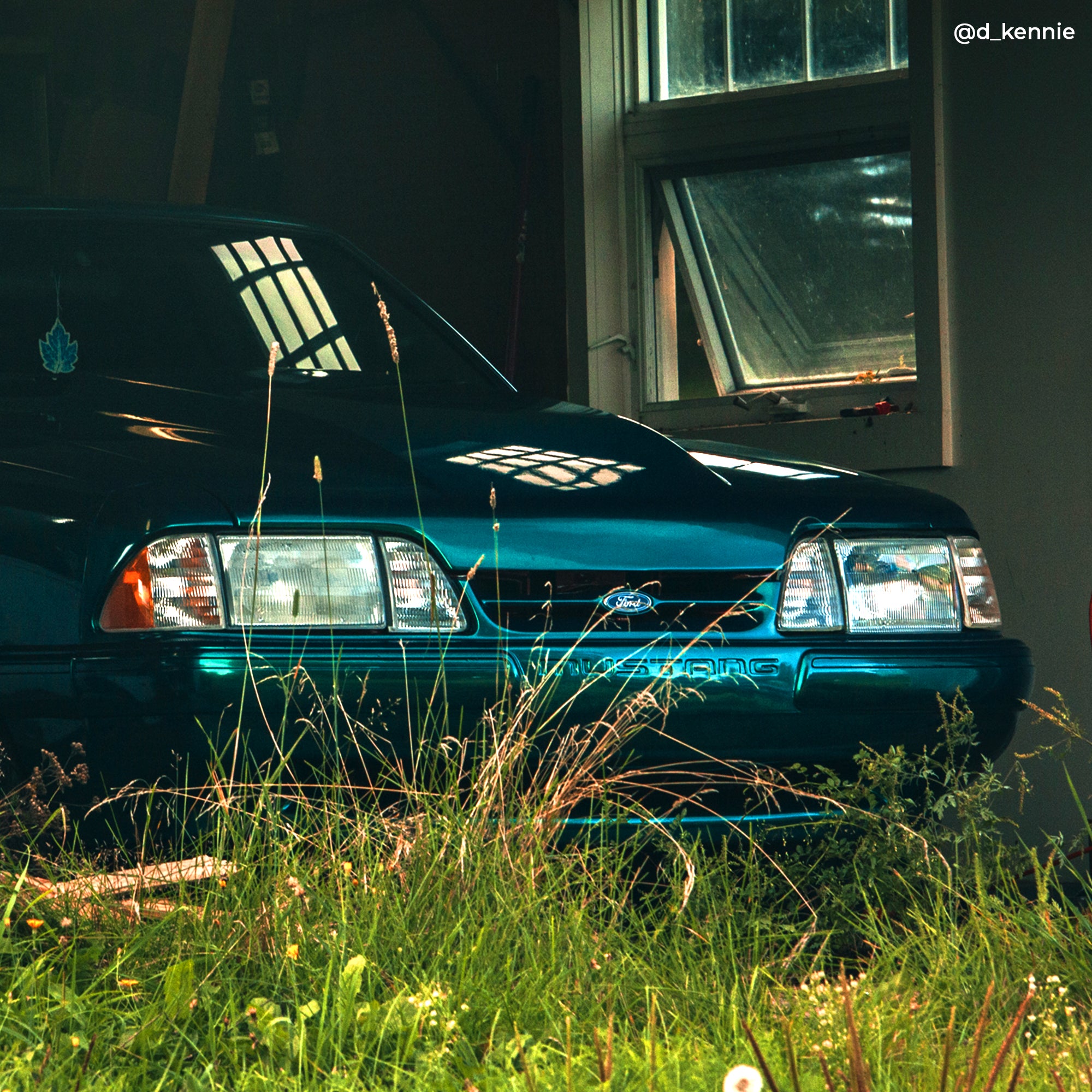 VVIVID+ Nightshade Goblin Blue | The VViViD Shop