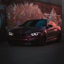 VVIVID+ Joker Purple-6