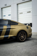 Desert Gold Dry Carbon-6