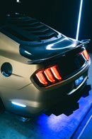 Desert Gold Dry Carbon-4