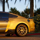 Desert Gold Dry Carbon-3