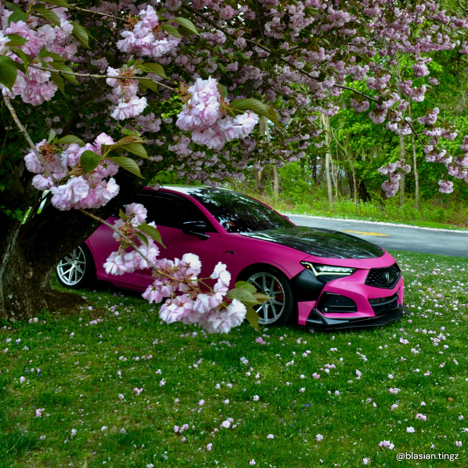 XPO Magenta Matte Vinyl Wrap | The VViViD Shop
