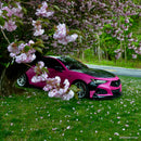 Magenta Matte-4