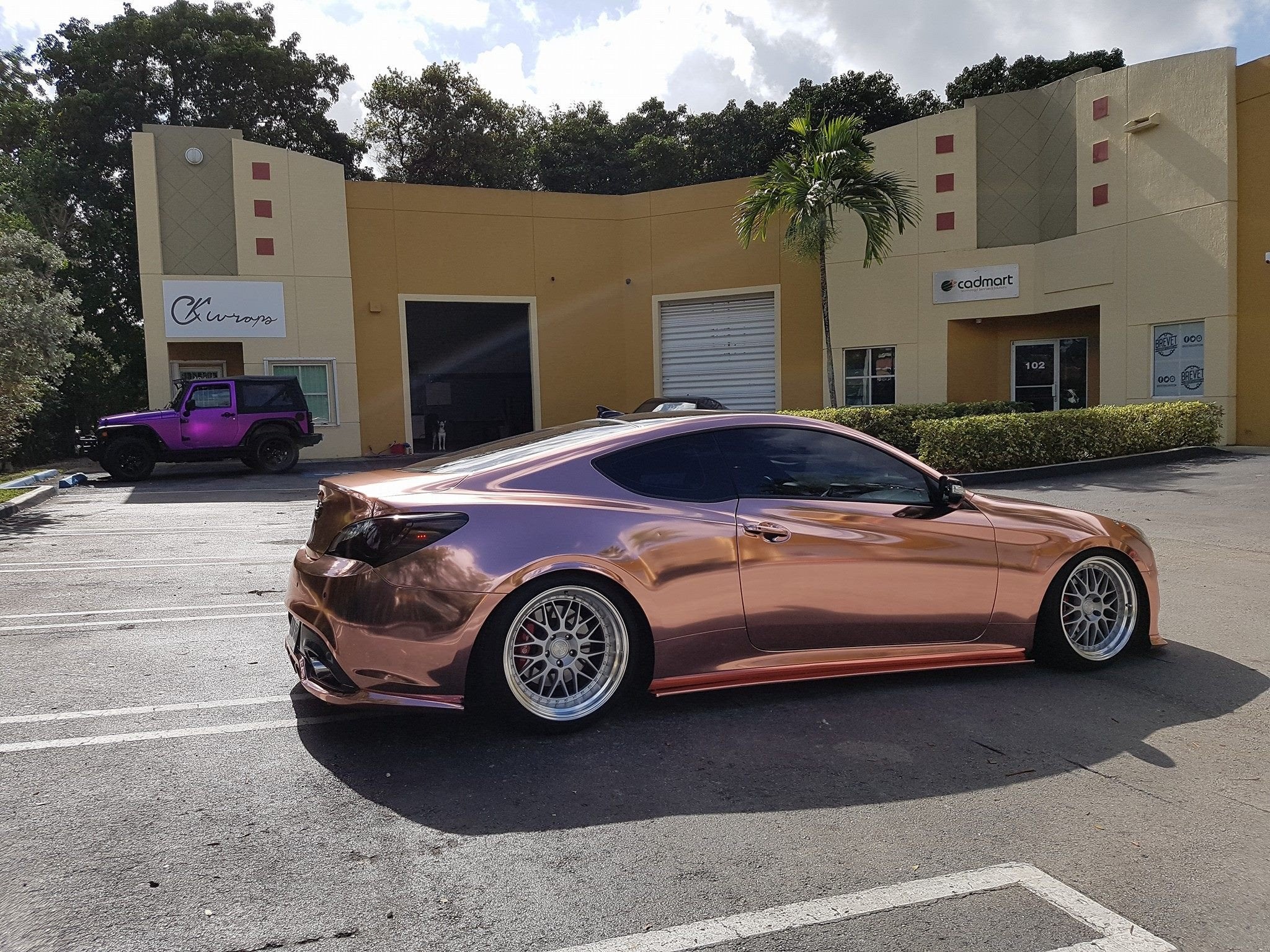 n-am wrapped in Avery rose gold chrome with a lv print